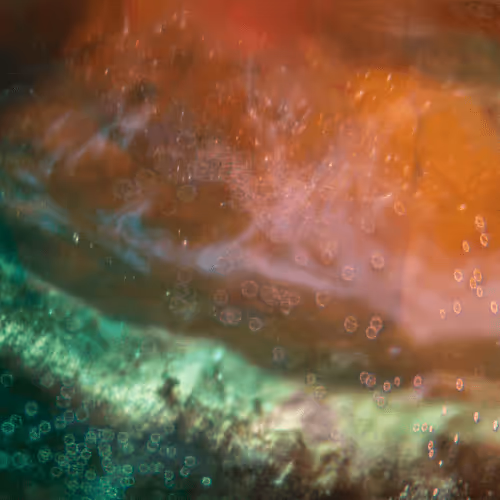 Item #8251270981130702250905355697814279819197198943221984468281114952486413664257 Media