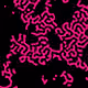 101701094206175850218338394222111736152098102952512760406699235801430797320193