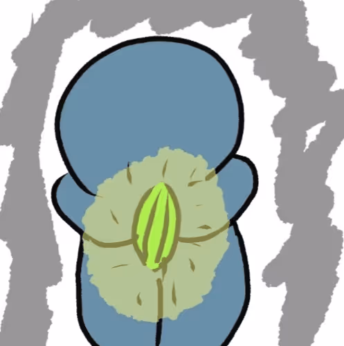 Untitled Collection #74106870