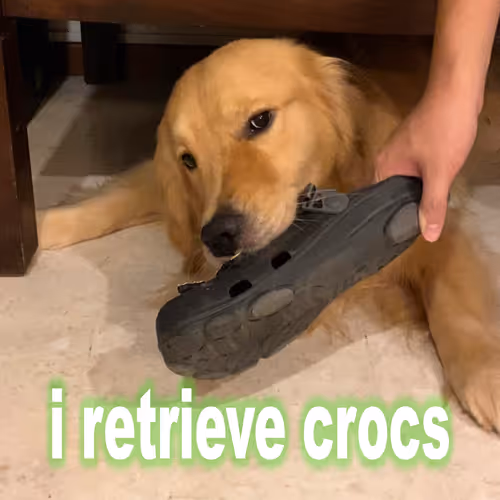 Item #103377055753616743904415894801442859105601499227514320328309312321817963134977 Media