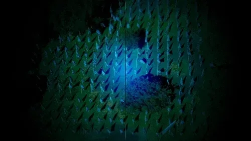 36079854245753815485314985912014674185614795485742504983556302759253854126081