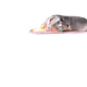 74388183107571848256633446996010033662379072698002169646249461038861225295873