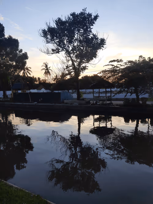 Item #78774018974347764357765192518377150739749637856503949941232678375392632897537 Media