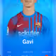 9979009278229717419301790906005405026716142737036612003039822293943443259393