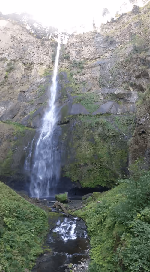 Item #58794710509392551542040062735070557949504527085713565262229554293866380656641 Media