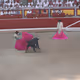 105803284940522508779092123895649405960988255467637344057016171269623140843521