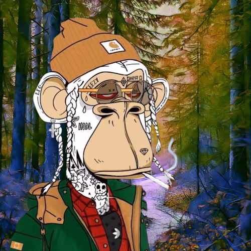 Item #109066165228494868984123658993937284509999328721461692091369406541342093344778 Media