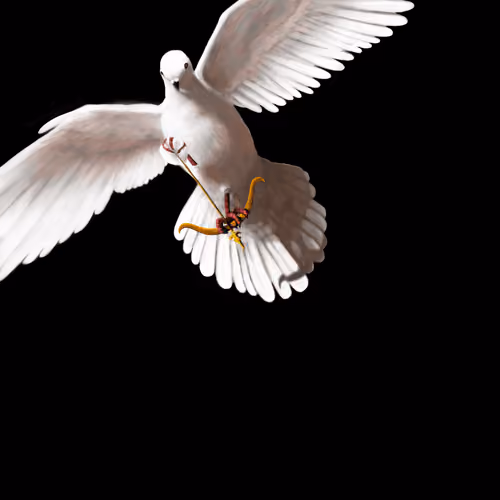 Dove War 