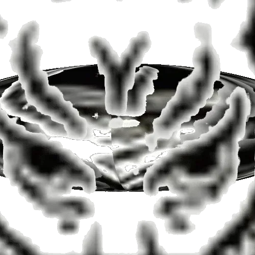 100877552743190859447068690041590045184474887557867308196571676965652148518913