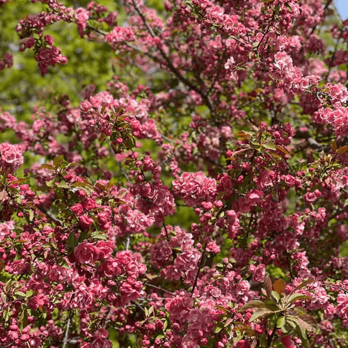 Untitled Collection #439969111