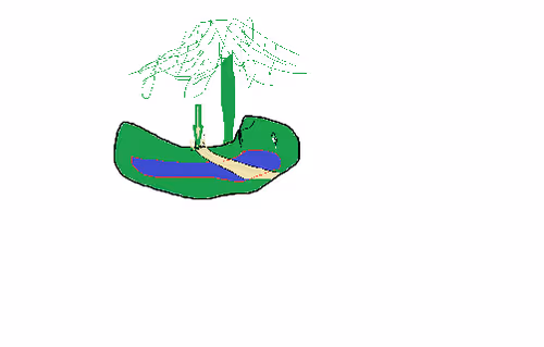 Item #112616141663566196060807121025535179661898826676487541073003803968369609146369 Media