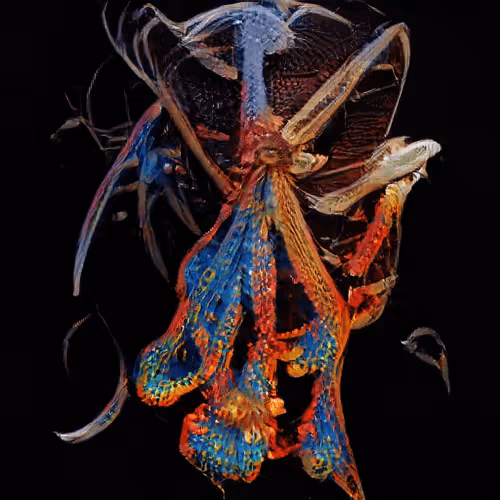 Item #93923887731966639760197662534300547726212510779526051617655967338203889795073 Media