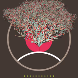 74168867016011539093366687608765447348507224284888477074887990542311387824129