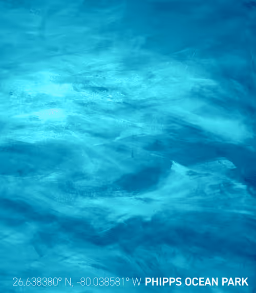 Item #26943238138681638753348092188697374887664825659826611314374211185319266484225 Media