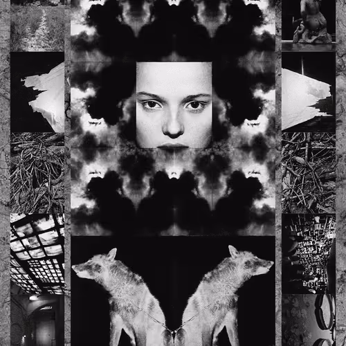 Item #75273069813984072057993738106185652471474454603567834826338096177235202408449 Media