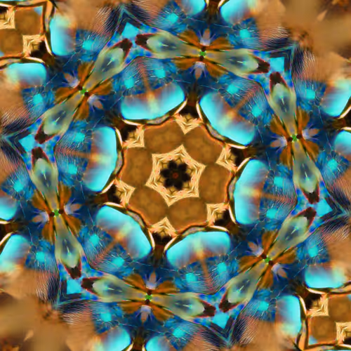 Item #109579018027133606473158902058456759875658318669045531735484408411869147037697 Media