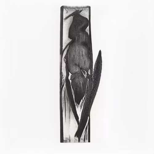 Untitled Collection #200921314