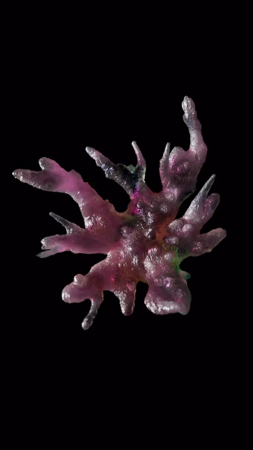 Item #12219681421925877253261559558186285710164607374074835708869619363757827293185 Media