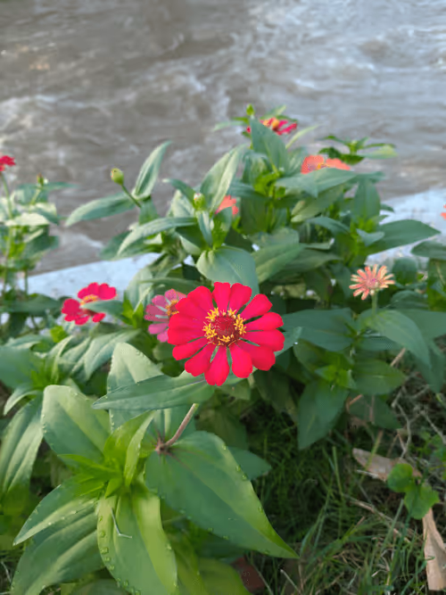 Item #78774018974347764357765192518377150739749637856503949941232678400681400336385 Media