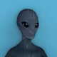 75317521654844928011442235037971825263063970787729373374065806888892805152769