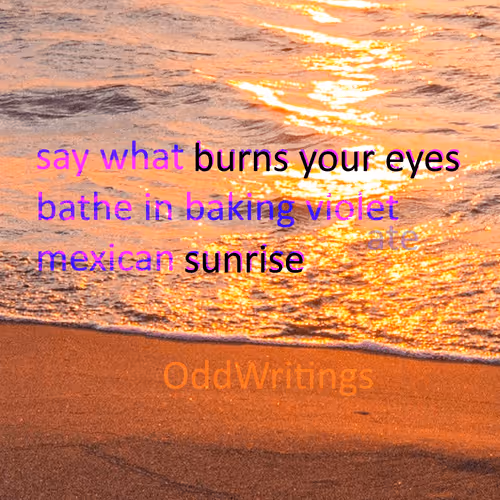 48289997999590210334063077456393509528592056807732048907342275397552076488705