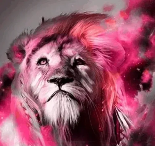 Item #95192195908434667897806557608534660479044493889968221946768649621627536932964 Media