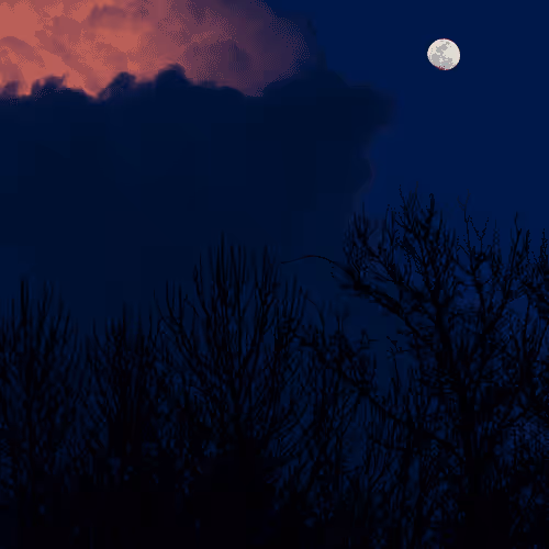 Untitled Collection #60766135