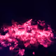 Fire Camp
