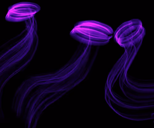 Item #74760564436251193987274484846746394591949493850677601942259403280358546866177 Media