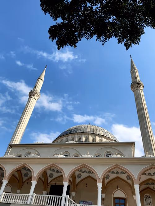 Item #57164340370605487482771130434956821177092171765090651853542028319792769794049 Media