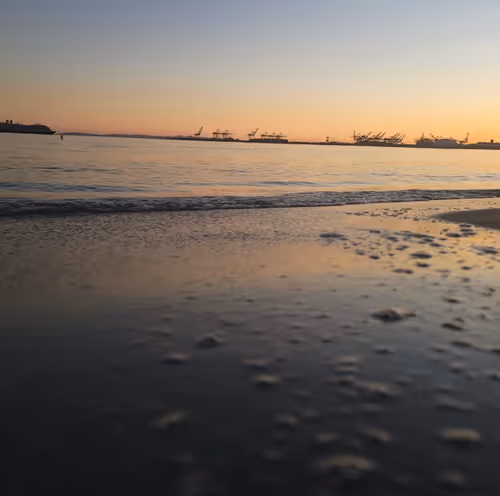 Item #19694953450994535055796596826502944982455978775333522112985953717071923642371 Media