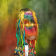 Tie Dye Harry