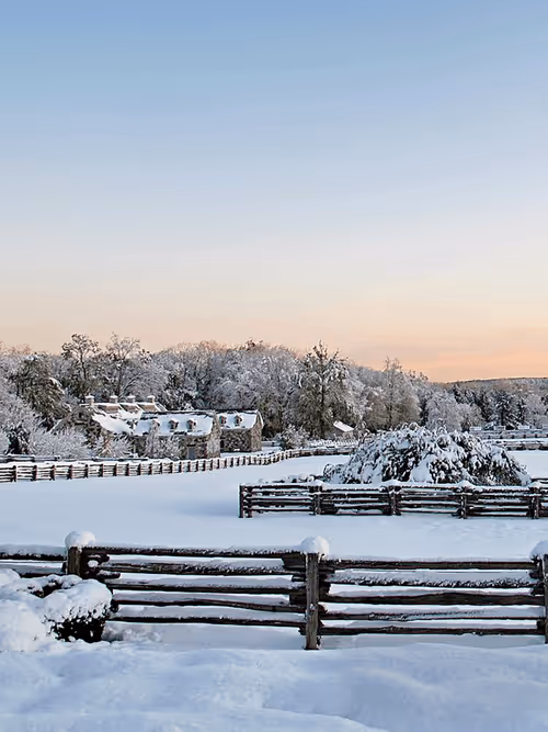 Item #15081463501546268006596121588316872326209313817998412847676537116028410265601 Media