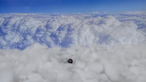 Item #32382354995311206636930955851818118108425029471473268411146207481018848378980 Media