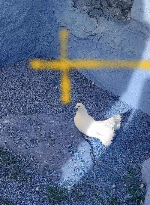 Item #94856506557338327106090130292352186429315752577624713051777707225087934988289 Media