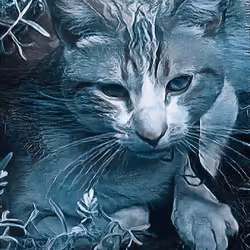 82131992402555671980798055465587884445464283702860645772928283747471119613953