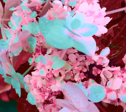 Item #53308188614165939190022800587925776763215599610313940970798170449287606960228 Media