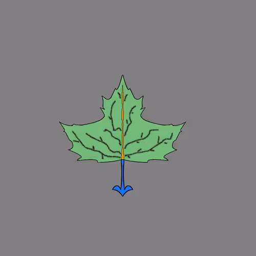 Item #67442861663334708568431626599499864796798009138674433109352702161257014231041 Media