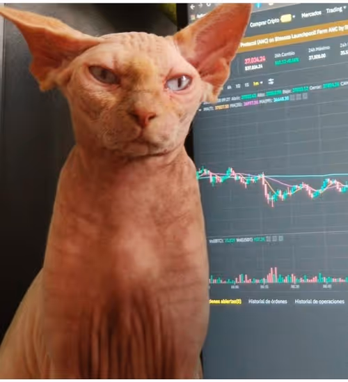 Item #65772978510931137535448073263144415199565297722225541184704316859408460021761 Media