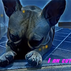 I am Cute