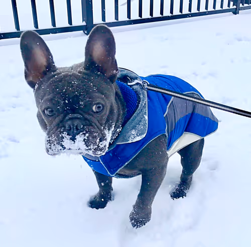 99031261785432219130552668818269695456905868997165113515571762523760393977857