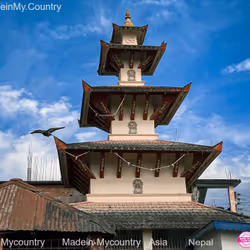 21218919643484846679386017214105436286474954155539936946797714272119477501962