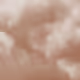22030950673374554925973443391923891145482583234119964659787732762591007604737