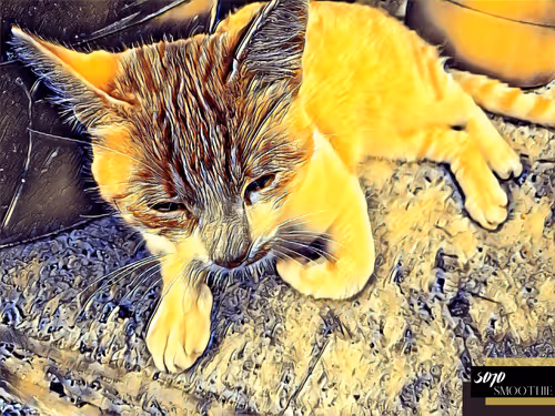 Item #70173555060280459679020221103172679865592931086946583501557978902991757901825 Media