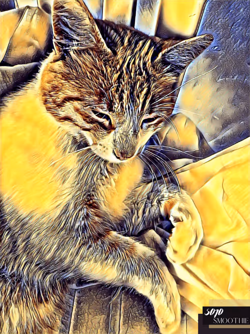 Item #70173555060280459679020221103172679865592931086946583501557978884300060229633 Media