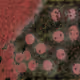 88984330764219812085931111278322366064253637658501921699282721425785490505729