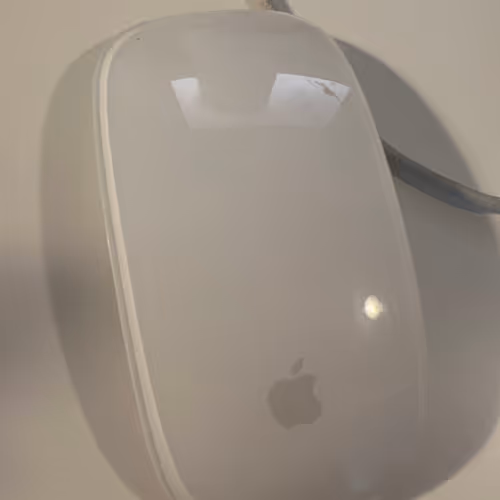 Untitled Collection #273499768