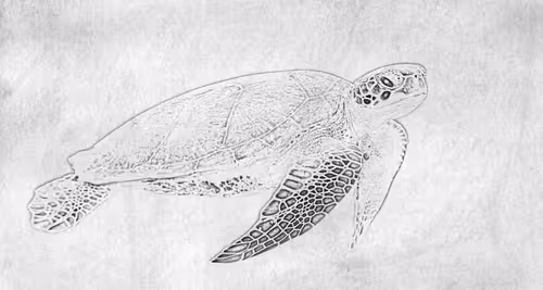 Item #104571871624713793639651805658793486494192065920849225127728493721104859267172 Media