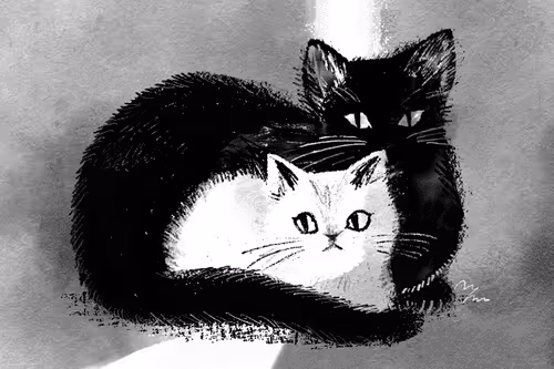 Item #85958577837238121956904946146282691386583578196809181446220191507477736456193 Media