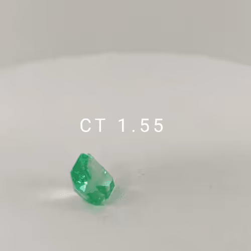 Item #16991925855418734810181517593316729184395356986579920509708176034197919498241 Media